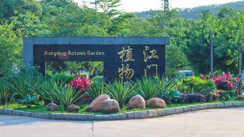 首届杜阮羊肉美食节盛大启动，融合美食与冰雪体验